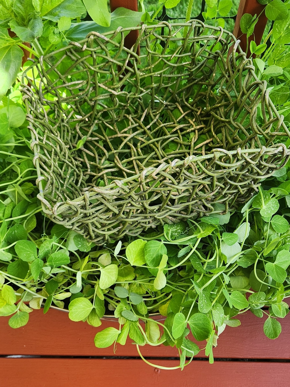 Vintage Woven Garden Decorative Basket in Olive Green Color. 11"X9".